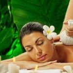 images - 2026-02-19T140804.337